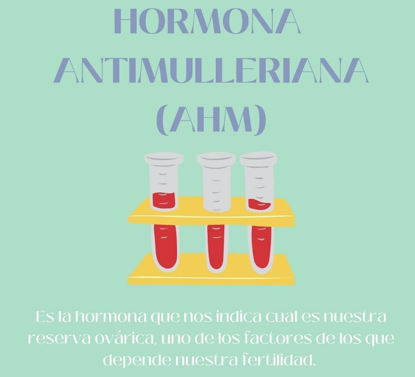 La hormona Antimulleriana.