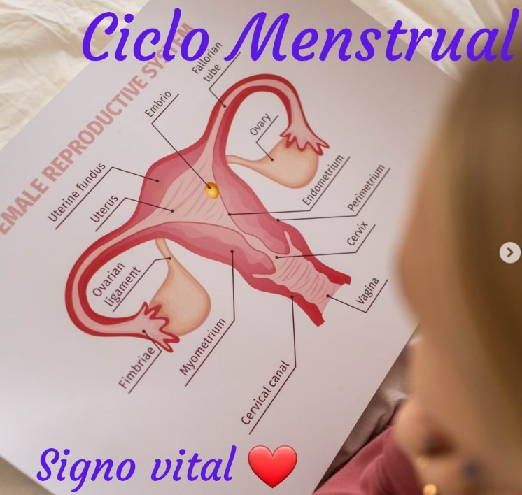 Ciclo menstrual, signo vital