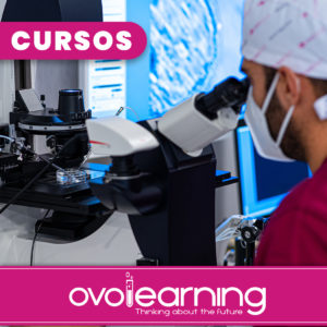 ICSI – INTRACYTOPLASMIC MICROINJECTION TRAINING FOR EMBRYOLOGISTS