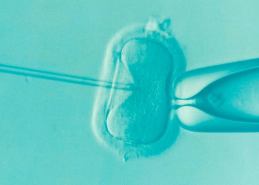¿El fin de los donantes anónimos de esperma y óvulos?