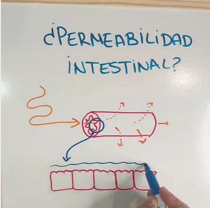 ¿Qué es la permeabilidad intestinal?