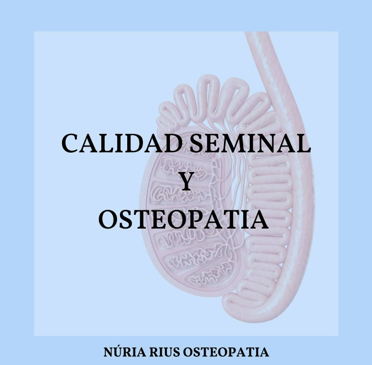 Calidad seminal y osteopatía