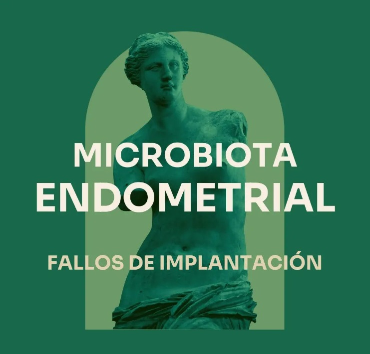 Microbiota endometrial