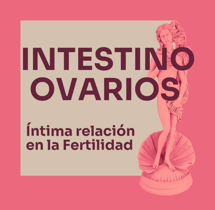 Intestino-ovarios