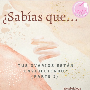 Sabias qué... tus ovarios están envejeciendo? (Parte I)