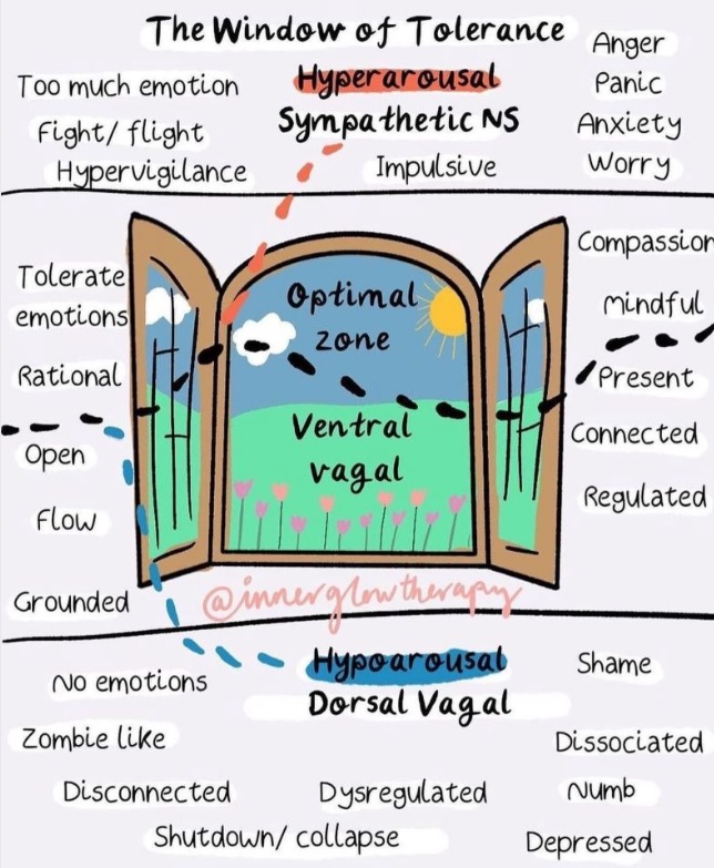 The window of tolerance